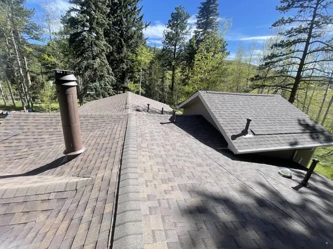 A shingle roof with a chimney and vent flashing against Colorado pines